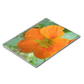 Hübsch Orange Nasturtium Blume Notebook Notizblock (Linke Seite)