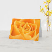 Hübsch Orange Rose Grußkarte Karte (Gelbe Blume)