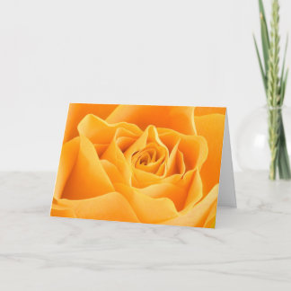 Hübsch Orange Rose Grußkarte Karte