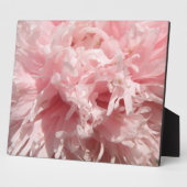 Hübsch Pale Pink Poppy Plaque Fotoplatte (Seite)