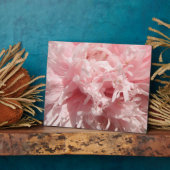 Hübsch Pale Pink Poppy Plaque Fotoplatte (Seite)