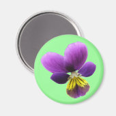 Hübsch Pansy Magnet (Vorderseite/Rückseite)