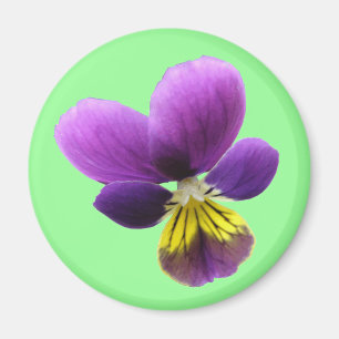 Hübsch Pansy Magnet