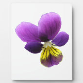 Hübsch Pansy Plaque Fotoplatte (Vorderseite)