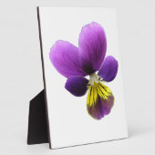 Hübsch Pansy Plaque Fotoplatte (Seite)