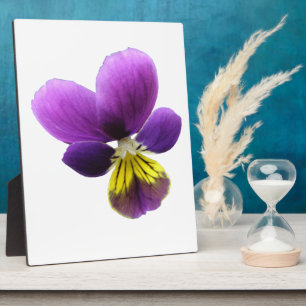 Hübsch Pansy Plaque Fotoplatte