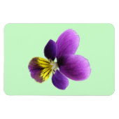 Hübsch Pansy Premium Magnet (Horizontal)