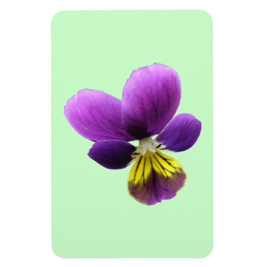 Hübsch Pansy Premium Magnet (Vertikal)