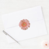 Hübsch Peach Gerber Daisy Sticker (Umschlag)