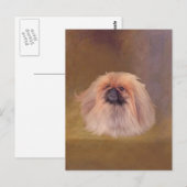 Hübsch Pekingese Postkarte (Vorne/Hinten)