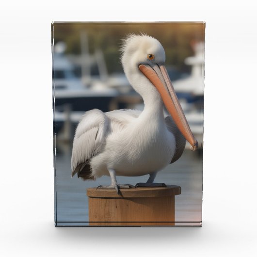 hübsch Pelican Fotoblock (Vorderseite)