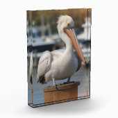 hübsch Pelican Fotoblock (Links)