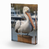 hübsch Pelican Fotoblock (Rechts)