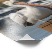 hübsch Pelican Fotodruck (Ecke)