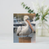 hübsch Pelican Postkarte (Stehend Vorderseite)
