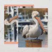 hübsch Pelican Postkarte (Vorne/Hinten)