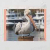 hübsch Pelican Postkarte (Rückseite)