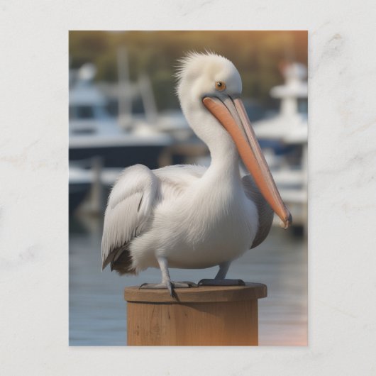 hübsch Pelican Postkarte (Vorderseite)