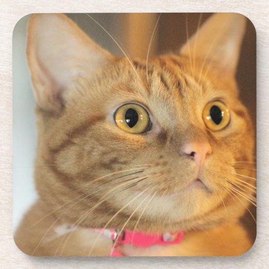 Hübsch Penny Getränkeuntersetzer (Vorderseite)