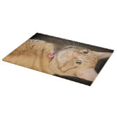 Hübsch Penny Schneidebrett (Ecke)