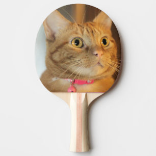 Hübsch Penny Tischtennis Schläger