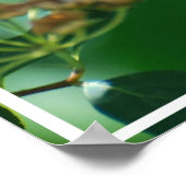 Hübsch Peony Poster (Ecke)