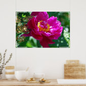 Hübsch Peony Poster (Küche)
