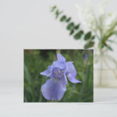 Hübsch Periwinkle Iris Garden Postkarte (Stehend Vorderseite)
