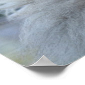 Hübsch Persian Kitten Poster (Ecke)