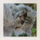 Hübsch Persian Kitten Puzzle (Horizontal)