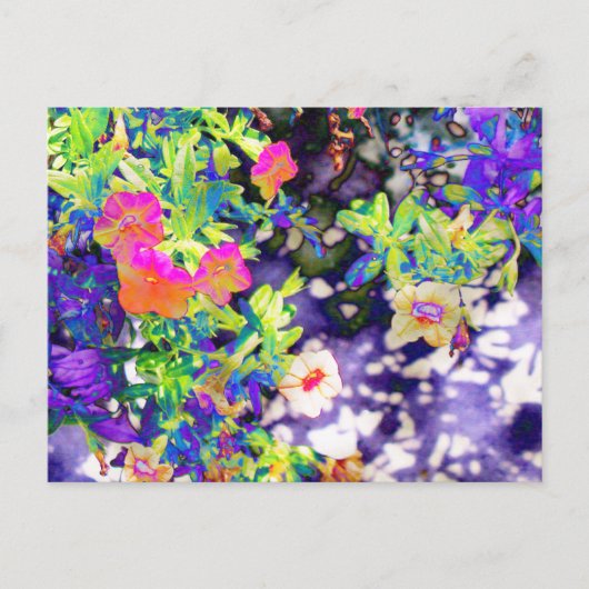 Hübsch Petunias Postkarte (Vorderseite)