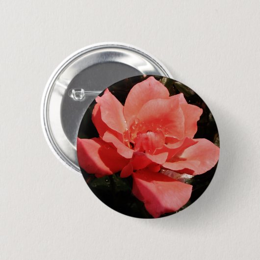 Hübsch Pfirsiche Rosa Rose Button (Vorne & Hinten)