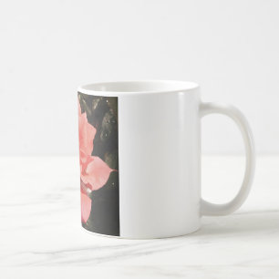 Hübsch Pfirsiche Rosa Rose Kaffeetasse