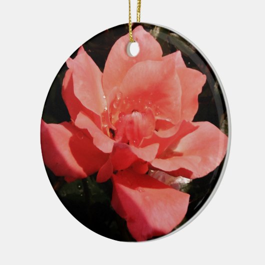 Hübsch Pfirsiche Rosa Rose Keramik Ornament (Links)