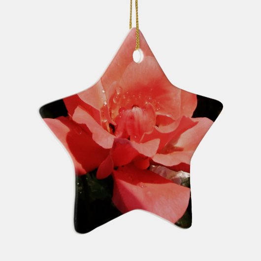 Hübsch Pfirsiche Rosa Rose Keramikornament (Rechts)