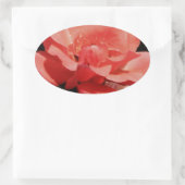 Hübsch Pfirsiche Rosa Rose Ovaler Aufkleber (Tasche)