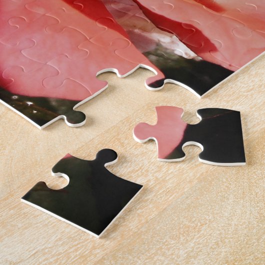 Hübsch Pfirsiche Rosa Rose Puzzle (Seite)