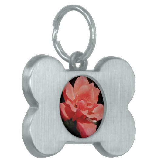 Hübsch Pfirsiche Rosa Rose Tiermarke (Vorderseite links)