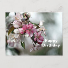 Hübsch Pink Apple floral Foto Geburtstag