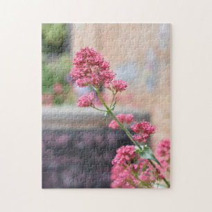 Hübsch Pink Blume Englisch Garden Nature Foto Puzzle