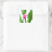 Hübsch Pink Calla Lily Quadratischer Aufkleber (Tasche)