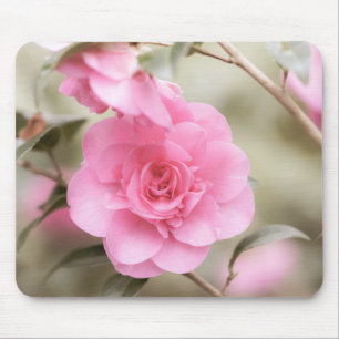 Hübsch Pink Camellia Mousepad
