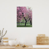 Hübsch Pink Cherry Blossom Tree NYC New York City Poster (Küche)