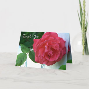 Hübsch Pink Coral Rose Danke Karte