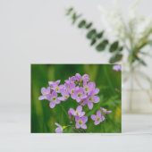 Hübsch Pink Cuckoo Blume Postkarte (Stehend Vorderseite)