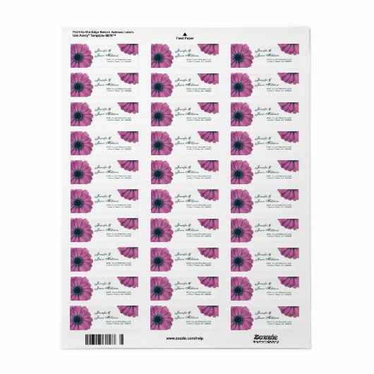 Hübsch Pink Daisies (Vorne)