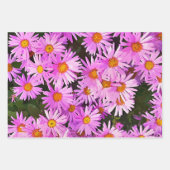 HÜBSCH PINK DAISIES GESCHENKPAPIER SET (Vorderseite 2)