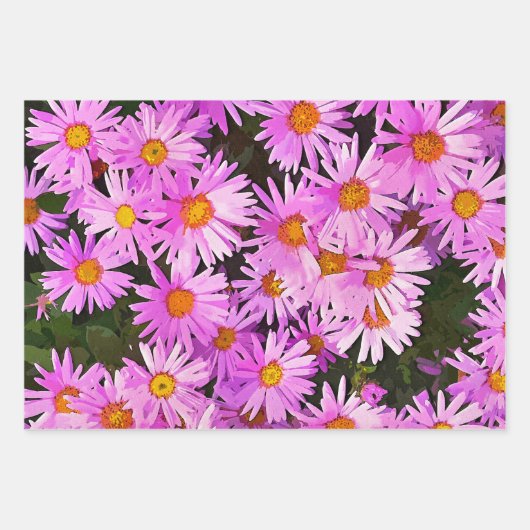 HÜBSCH PINK DAISIES GESCHENKPAPIER SET (Vorderseite)