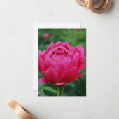 Hübsch Pink Garden Peony Mitteilungskarte (Vorderseite/Rückseite Beispiel)