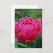 Hübsch Pink Garden Peony Mitteilungskarte (Vorne/Hinten)